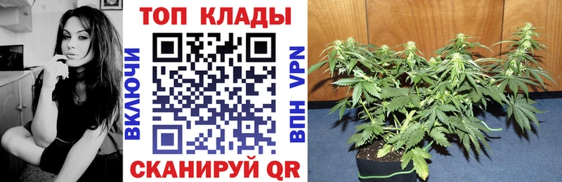Купить Каннабис АМФЕТАМИН Меф СК Истра