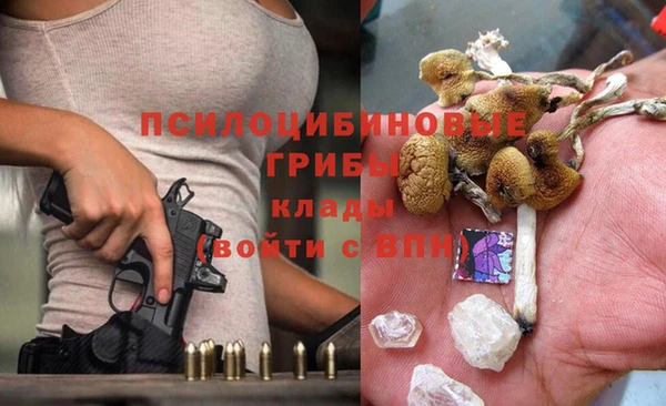 мдпв Горнозаводск