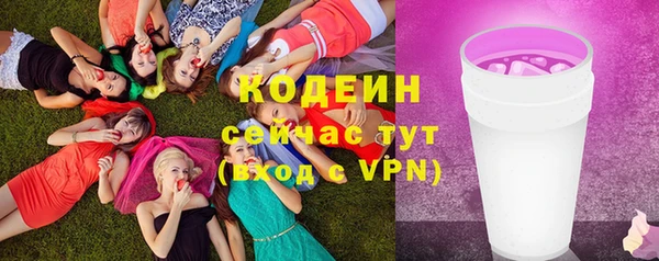 прущие грибы Щучье